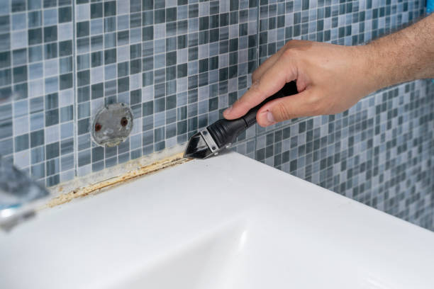 Best Black Mold Remediation in Conning Towers Nautilus Park, CT