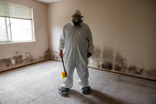 Best Residential Mold Remediation in Conning Towers Nautilus Park, CT